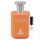 Paris Corner Taskeen - EDP dekant 10 ml