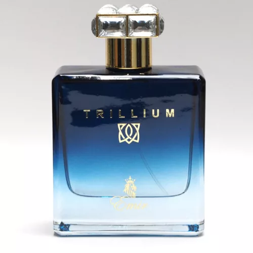 Paris Corner Emir Trillium - EDP 100 ml