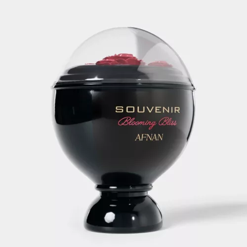 Afnan Souvenir Blooming Bliss - EDP 100 ml