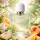 Rayhaan Dahliya EDP 100 ml