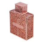 Rayhaan Divine  EDP 100 ml